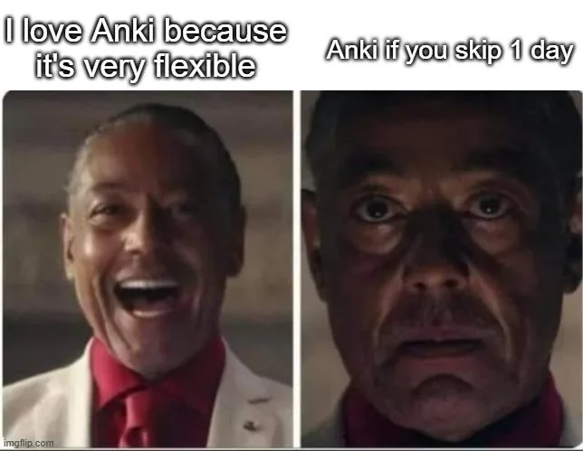 Anki if you skip one day meme